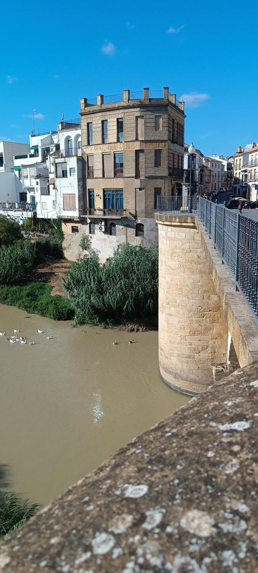 El Patio De La Cris Apartamento Puente Genil Exterior foto