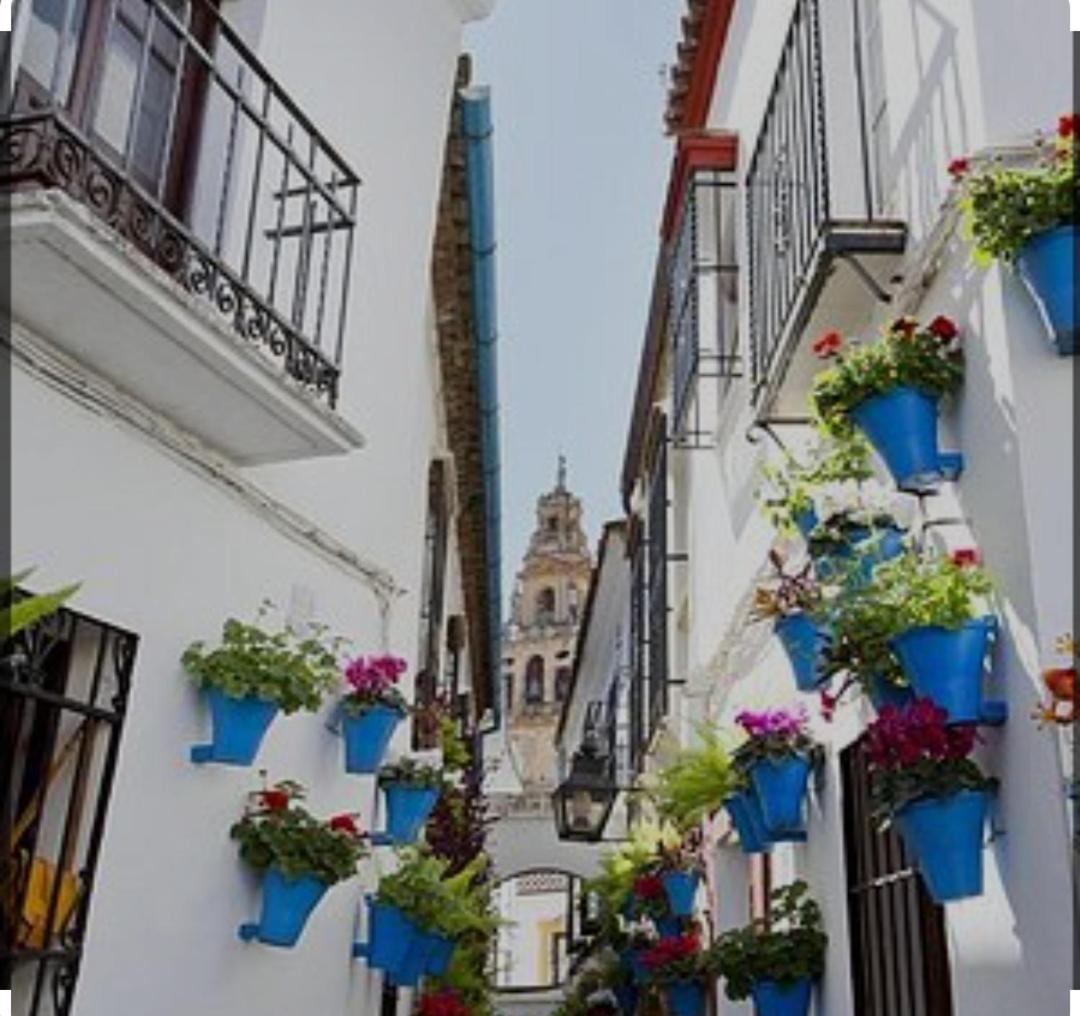 El Patio De La Cris Apartamento Puente Genil Exterior foto